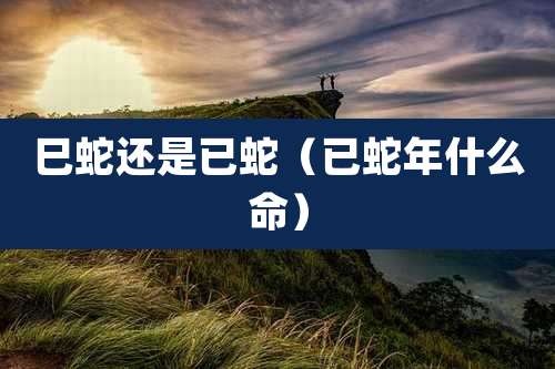 巳蛇还是已蛇（已蛇年什么命）