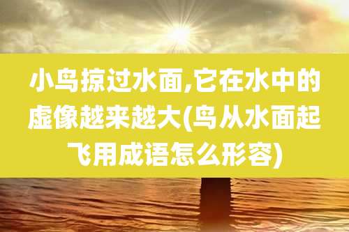 小鸟掠过水面,它在水中的虚像越来越大(鸟从水面起飞用成语怎么形容)
