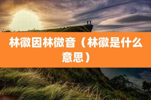 林徽因林微音(林徽是什么意思)
