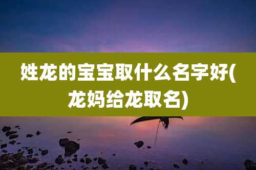 姓龙的宝宝取什么名字好(龙妈给龙取名)