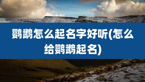 鹦鹉怎么起名字好听(怎么给鹦鹉起名)