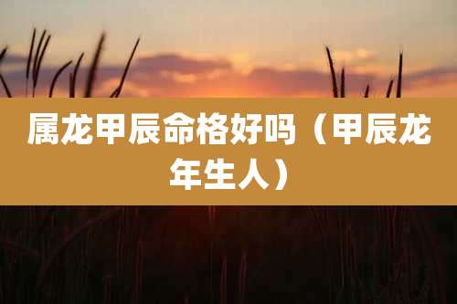 属龙甲辰命格好吗(甲辰龙年生人)