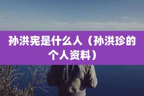 孙洪宪是什么人(孙洪珍的个人资料)