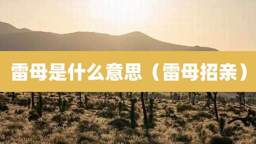雷母是什么意思(雷母招亲)