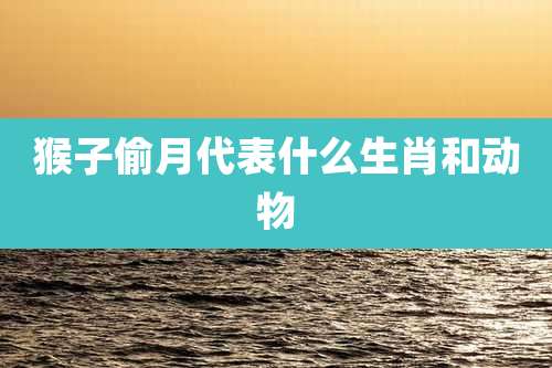 猴子偷月代表什么生肖和动物