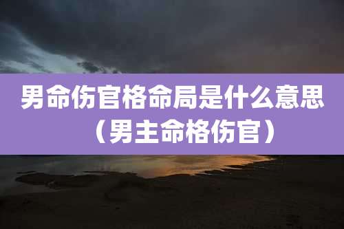 男命伤官格命局是什么意思(男主命格伤官)