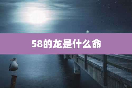 58的龙是什么命