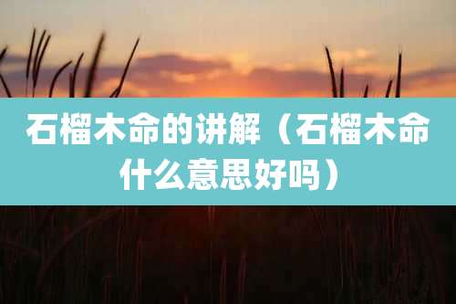 石榴木命的讲解(石榴木命什么意思好吗)