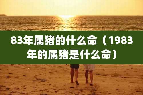 83年属猪的什么命（1983年的属猪是什么命）
