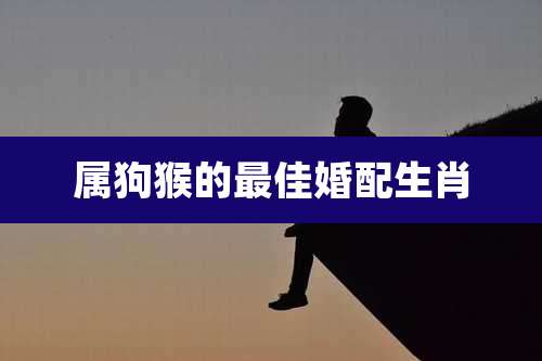 属狗猴的最佳婚配生肖