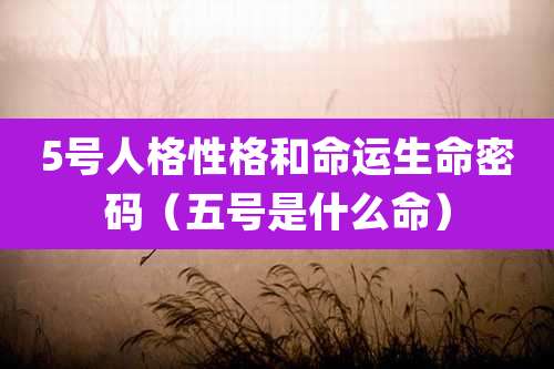 5号人格性格和命运生命密码（五号是什么命）