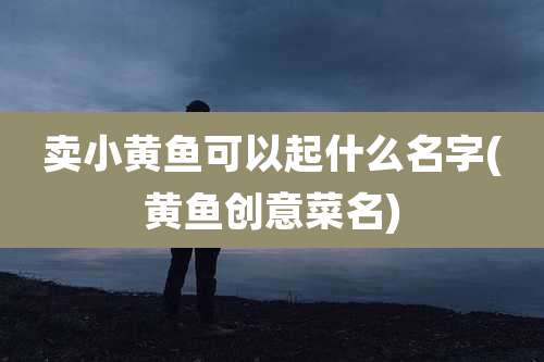 卖小黄鱼可以起什么名字(黄鱼创意菜名)