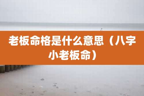 老板命格是什么意思(八字小老板命)