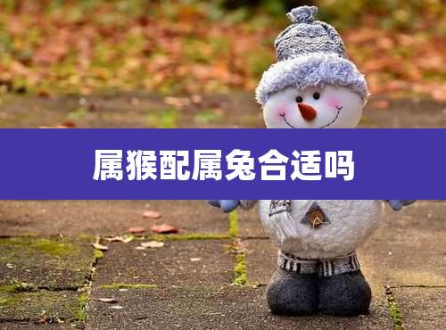 属猴配属兔合适吗