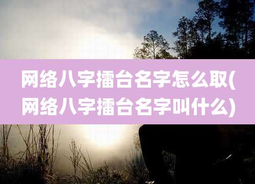 网络八字擂台名字怎么取(网络八字擂台名字叫什么)