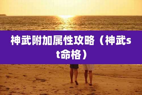 神武附加属性攻略(神武st命格)
