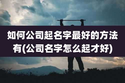 如何公司起名字最好的方法有(公司名字怎么起才好)
