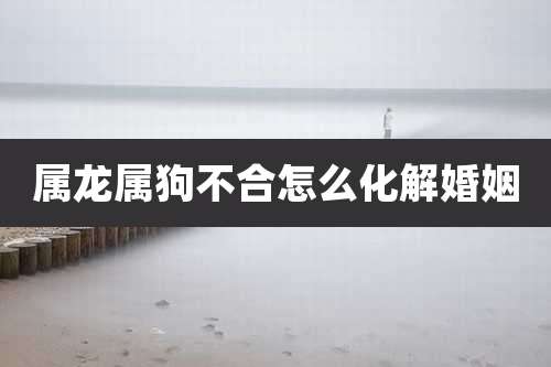 属龙属狗不合怎么化解婚姻