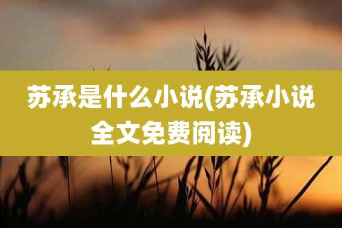 苏承是什么小说(苏承小说全文免费阅读)