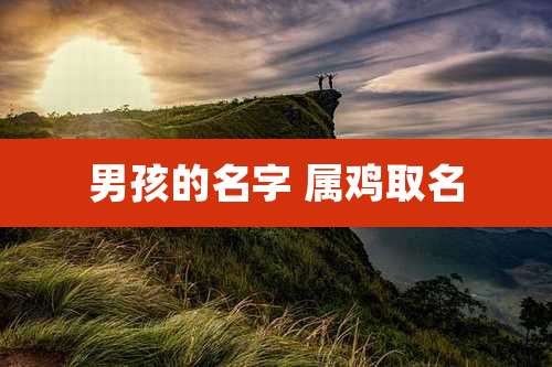 男孩的名字 属鸡取名