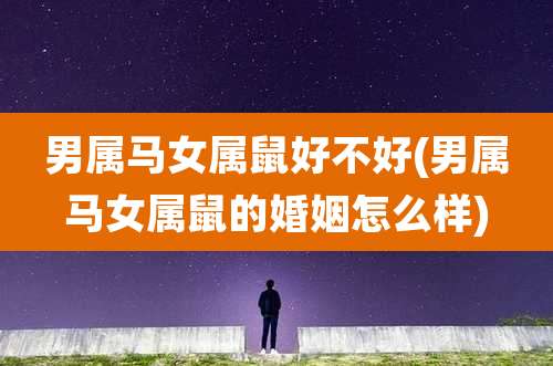 男属马女属鼠好不好(男属马女属鼠的婚姻怎么样)