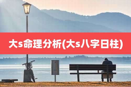 大s命理分析(大s八字日柱)