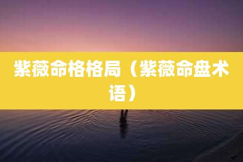 紫薇命格格局(紫薇命盘术语)