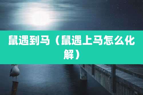 鼠遇到马(鼠遇上马怎么化解)