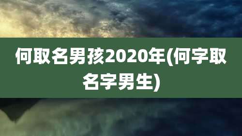 何取名男孩2020年(何字取名字男生)