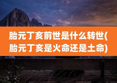 胎元丁亥前世是什么转世(胎元丁亥是火命还是土命)