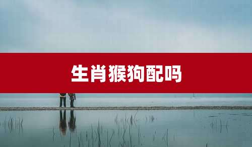 生肖猴狗配吗