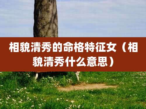 相貌清秀的命格特征女(相貌清秀什么意思)