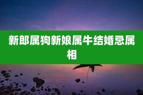 新郎属狗新娘属牛结婚忌属相