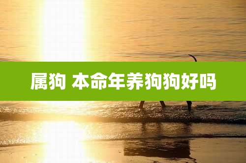 属狗 本命年养狗狗好吗