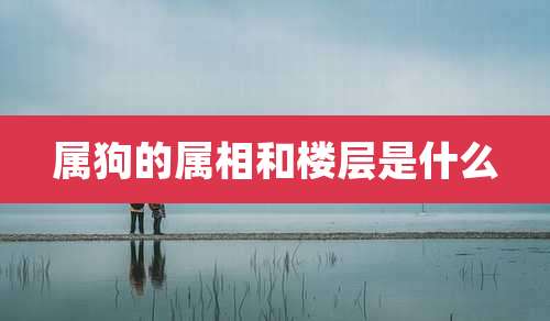 属狗的属相和楼层是什么