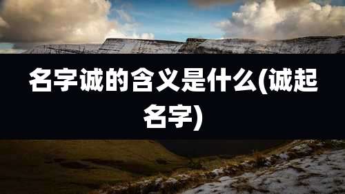名字诚的含义是什么(诚起名字)