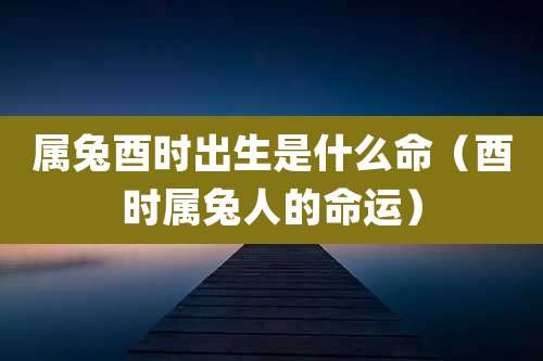 属兔酉时出生是什么命(酉时属兔人的命运)