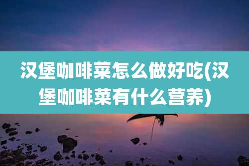 汉堡咖啡菜怎么做好吃(汉堡咖啡菜有什么营养)