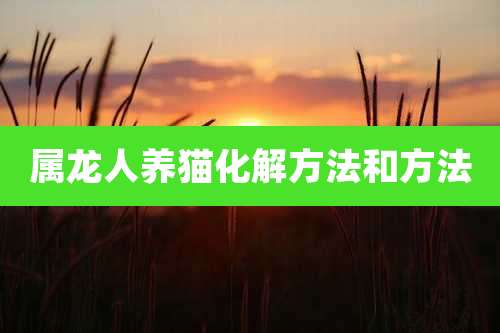 属龙人养猫化解方法和方法