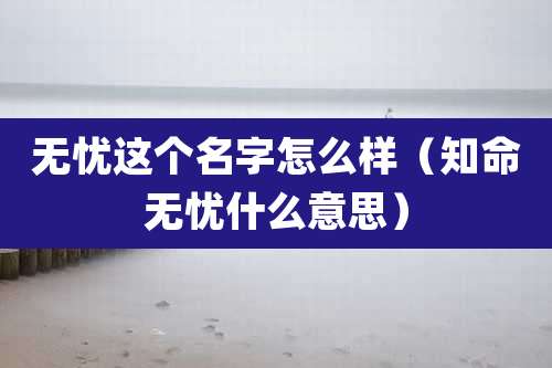 无忧这个名字怎么样(知命无忧什么意思)