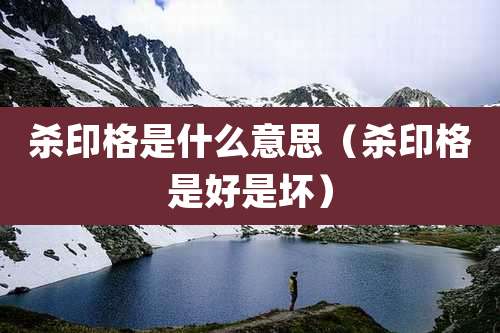 杀印格是什么意思(杀印格是好是坏)