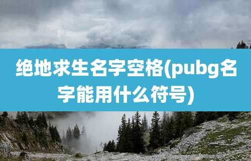 绝地求生名字空格(pubg名字能用什么符号)