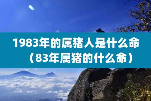 1983年的属猪人是什么命（83年属猪的什么命）