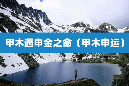 甲木遇申金之命(甲木申运)