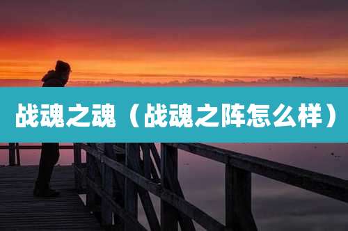 战魂之魂(战魂之阵怎么样)