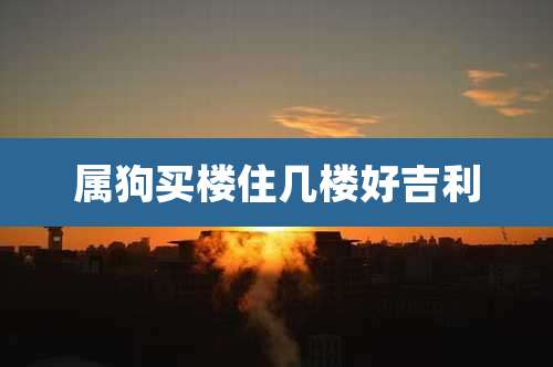 属狗买楼住几楼好吉利