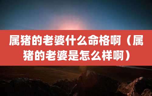 属猪的老婆什么命格啊(属猪的老婆是怎么样啊)