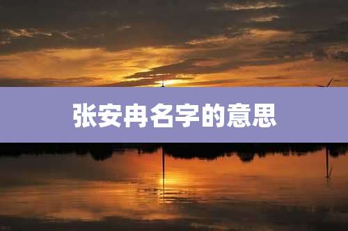 张安冉名字的意思
