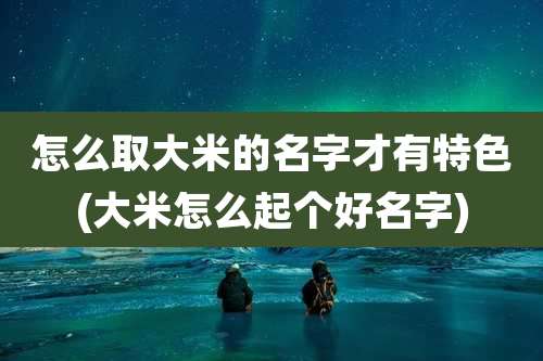 怎么取大米的名字才有特色(大米怎么起个好名字)
