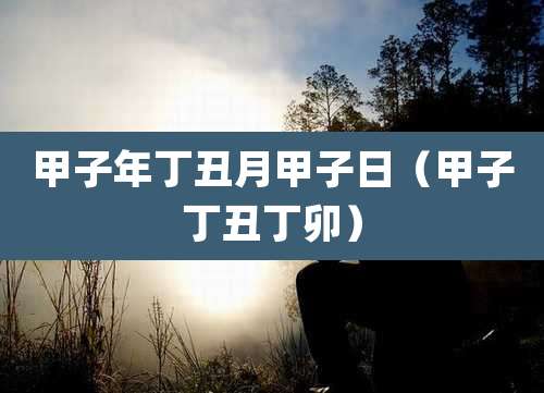 甲子年丁丑月甲子日(甲子丁丑丁卯)